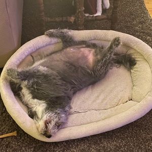 Meet your Posher, Rodney